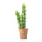 Hello Honey® 18" Cereus Cactus in Terra Cotta Colored Pot